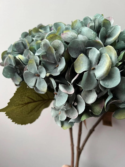 Realistic hydrangea, green hydrangea, lilac hydrangea, teal hydrangea